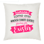 Cojín con texto 2