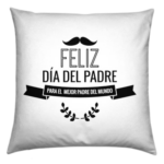 Cojín día del padre
