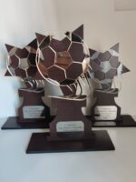 🏆 Trofeo Personalizado de Madera y Metacrilato - Imagen 3
