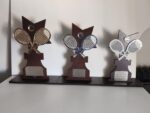 🏆 Trofeo Personalizado de Madera y Metacrilato - Imagen 2