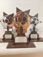 🏆 Trofeo Personalizado de Madera y Metacrilato